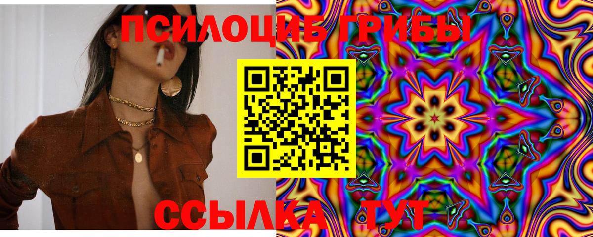 Псилоцибиновые грибы Cubensis Кашира
