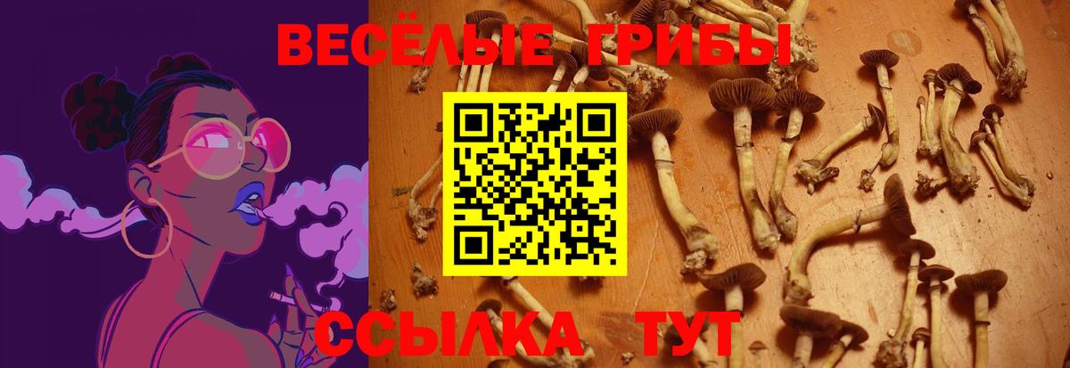 где купить наркотик  Вход с VPN  Галлюциногенные грибы мицелий  Кашира  Псилоцибиновые грибы прущие грибы 